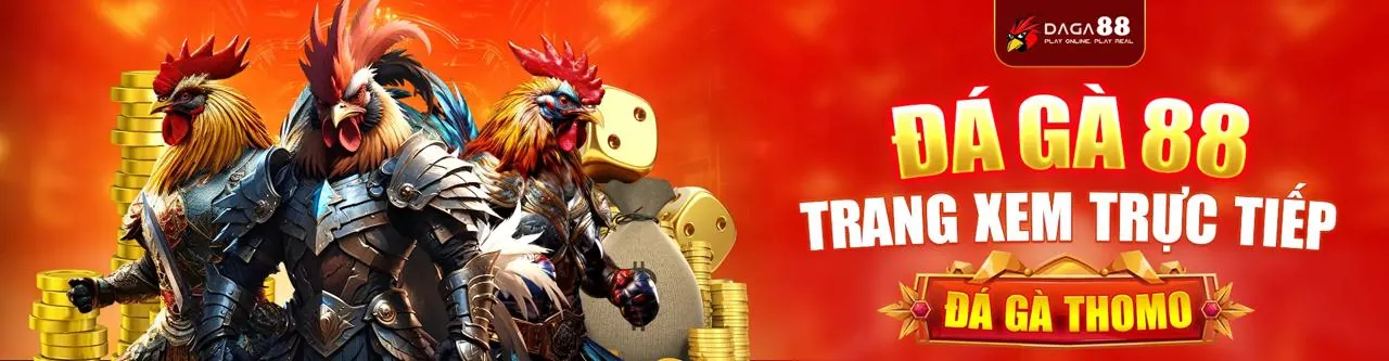 Sân chơi đá gà trực tuyến jj8 sôi động