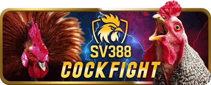 Đá gà Campuchia jj8 elite